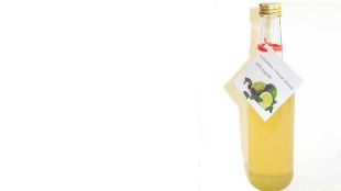 Limetten-Sirup mit Minze